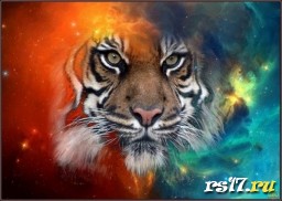 С Новым 2022 годом!