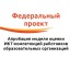 Федеральный проект "Апробация модели оценки ИКТ-компетенций работников образовательных организаций"