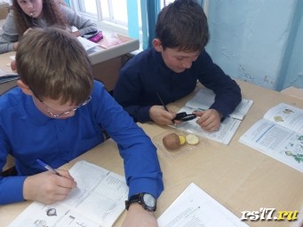 Занимательная биология