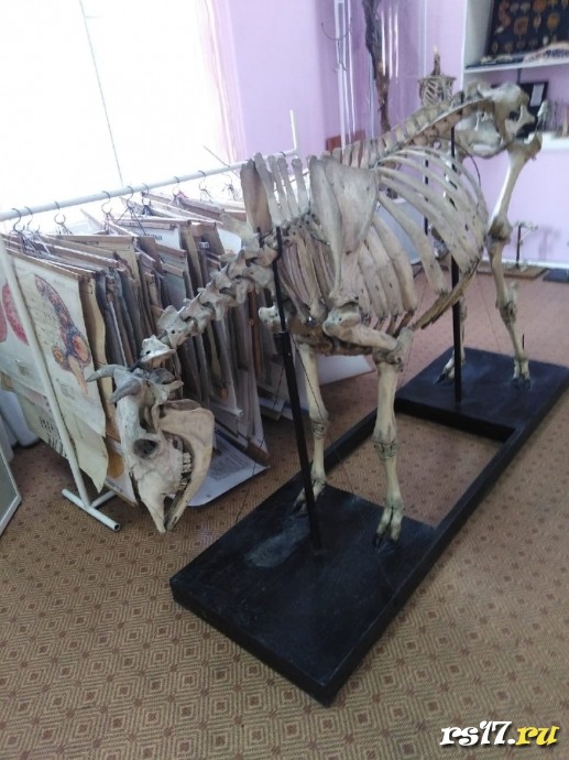 Поездка учащихся "Агро- школы" в Абакан в сельскохозяйственный колледж 1