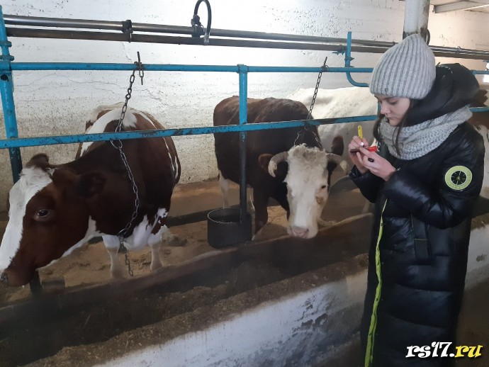 Профессия животновод 0