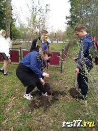 "Сад Победы"
