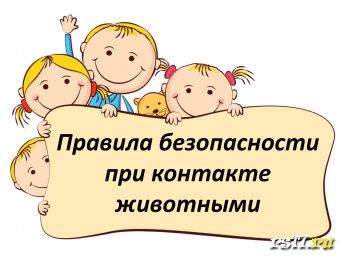 Правила безопасности при контакте с животными Правила безопасности при контакте с животными