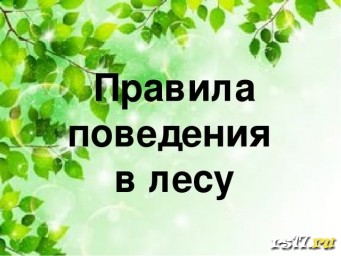 Правила поведения в лесу Правила поведения в лесу
