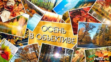 Внимание! Фотокросс "Осень в объективе"