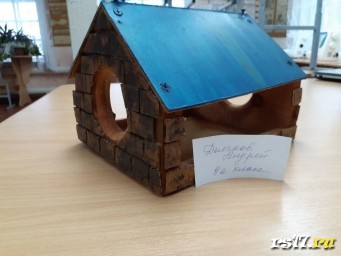 акция "Накорми птиц"