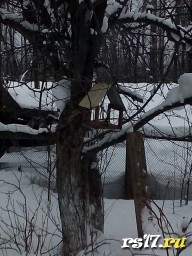 Участие 4а в 3 четверти