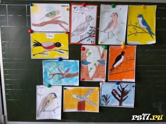 конкурс рисунков "Наши пернатые друзья"