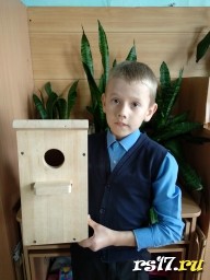 конкурс "Каждому скворцу по дворцу"