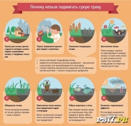 МБ в пожароопасный период, действия при пожаре. МБ в пожароопасный период, действия при пожаре.
