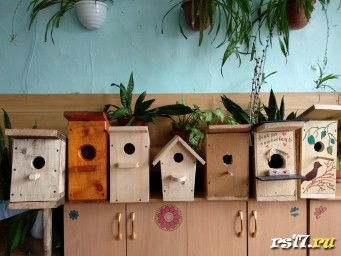 Каждому скворцу - по дворцу!