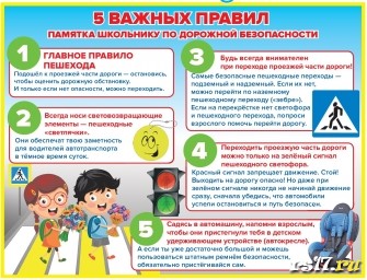 Соблюдай правила движения! Соблюдай правила движения!