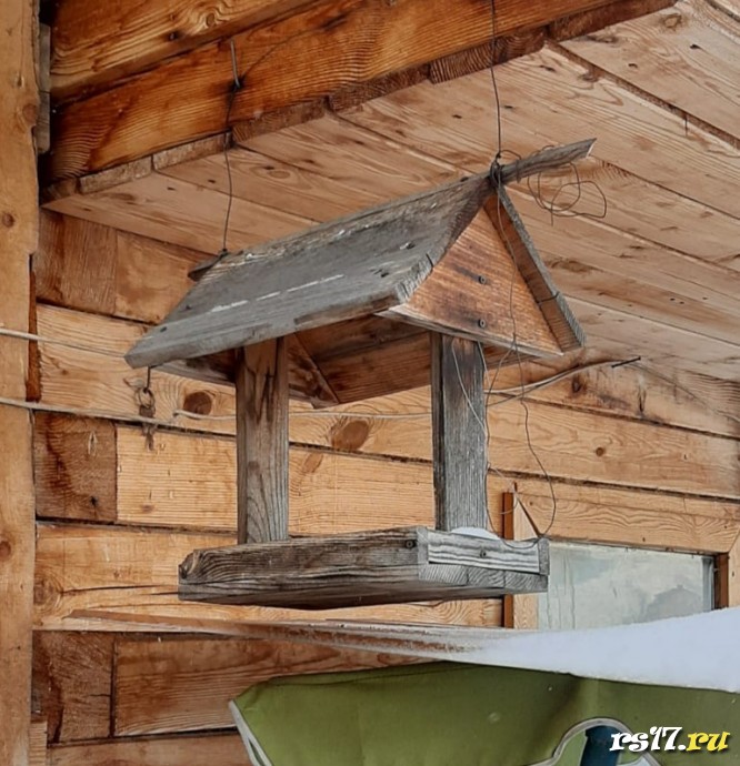 акция "Покормите птиц зимой".. 1