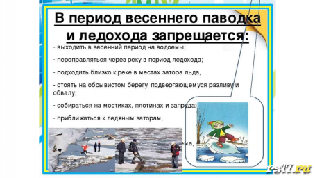 Как вести себя во время паводка Как вести себя во время паводка