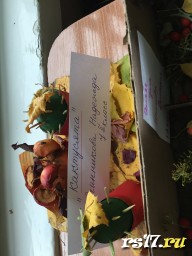 Конкурс осенних поделок из природных материалов