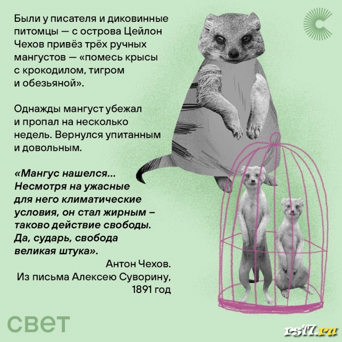 29 января день рождения А.П.Чехова 1