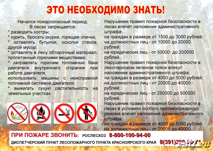 Инструктаж "Соблюдение пожарной безопасности в лесах". 0