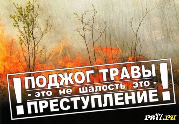 Инструктаж "Соблюдение пожарной безопасности в лесах". Инструктаж "Соблюдение пожарной безопасности в лесах".