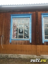 "Мирные окна"