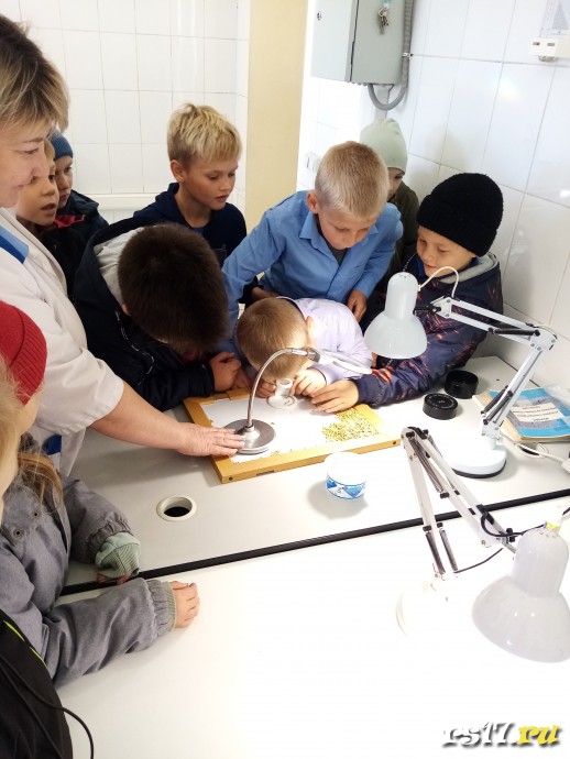 Мельнично-крупяной комплекс пгт Курагино 1