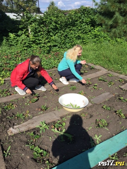 Волонтерский отряд начал работу в новом учебном году 1