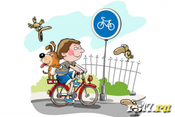 правила велоПДД